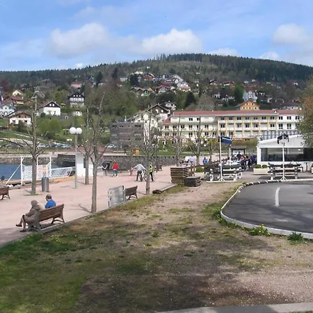 1 Bedroom Gorgeous In Daire Gérardmer